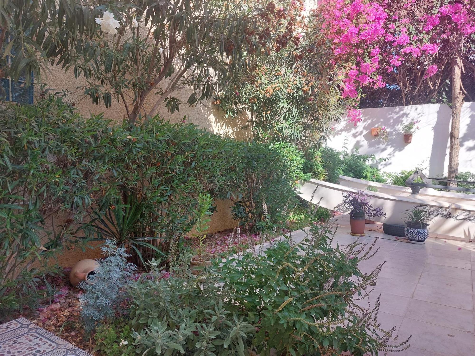 Villa Azaiiza スース エクステリア 写真